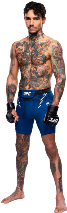 Andre Fili