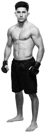Mitch Raposo