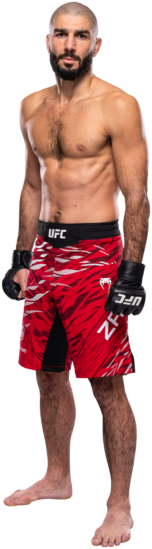 Aiemann Zahabi