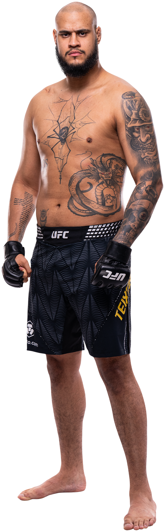 Tallison Teixeira