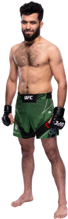 Muin Gafurov